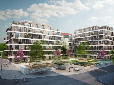 Planung+Bauleitung kosteng&uuml;nstiger Einfamilienhausbau, eigene Bautr&auml;germa&szlig;nahmen